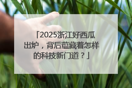2025浙江好西瓜出炉，背后蕴藏着怎样的科技新门道？