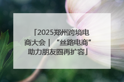 2025郑州跨境电商大会｜“丝路电商”助力朋友圈再扩容
