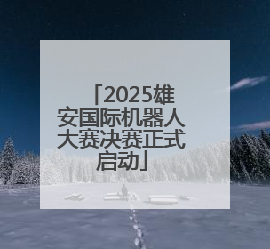 2025雄安国际机器人大赛决赛正式启动