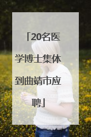 20名医学博士集体到曲靖市应聘