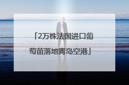 2万株法国进口葡萄苗落地青岛空港