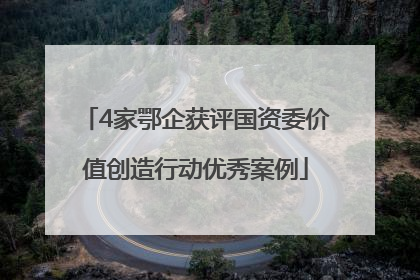 4家鄂企获评国资委价值创造行动优秀案例