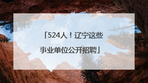 524人！辽宁这些事业单位公开招聘