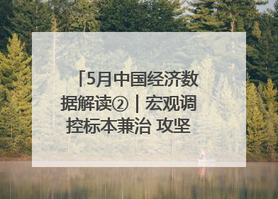 5月中国经济数据解读②｜宏观调控标本兼治 攻坚高质量发展