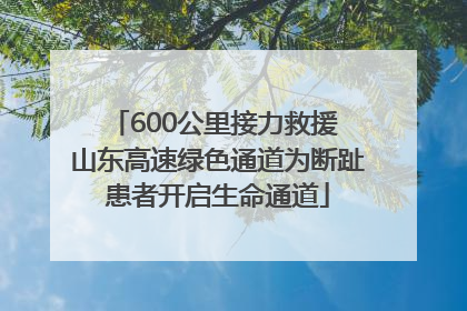600公里接力救援 山东高速绿色通道为断趾患者开启生命通道