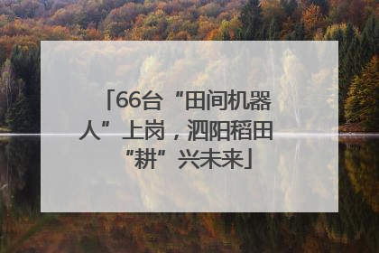 66台“田间机器人”上岗，泗阳稻田“耕”兴未来