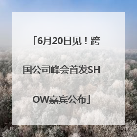 6月20日见！跨国公司峰会首发SHOW嘉宾公布