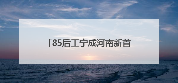 85后王宁成河南新首富，23岁创立泡泡玛特！旗下Labubu全球爆火“一娃难求”