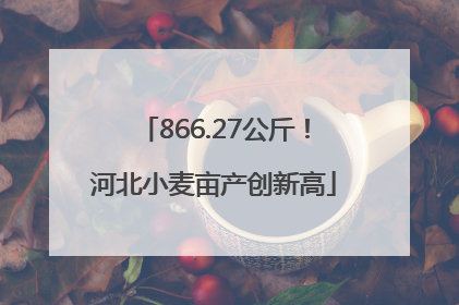 866.27公斤！河北小麦亩产创新高
