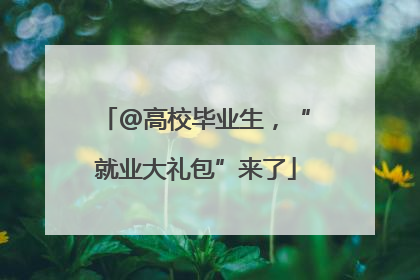 @高校毕业生，“就业大礼包”来了