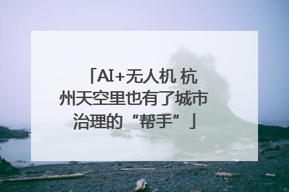 AI+无人机 杭州天空里也有了城市治理的“帮手”