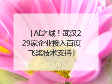 AI之城！武汉229家企业接入百度飞桨技术支持