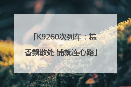 K9260次列车：粽香飘散处 铺就连心路